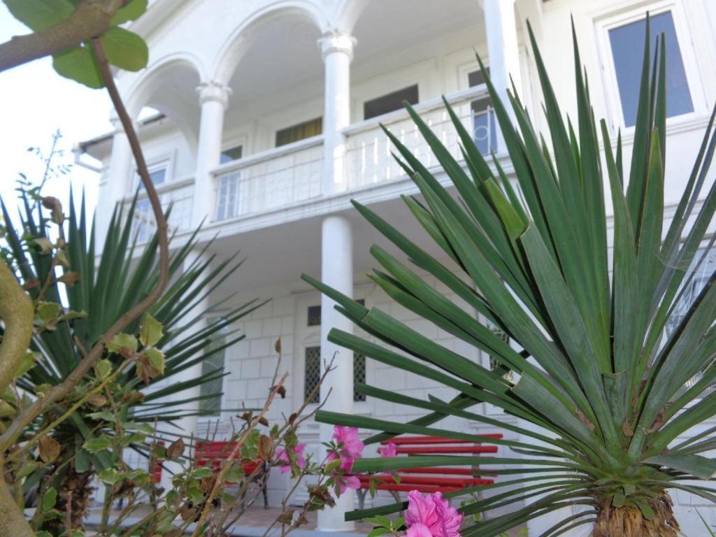White Guest House Batoemi Buitenkant foto